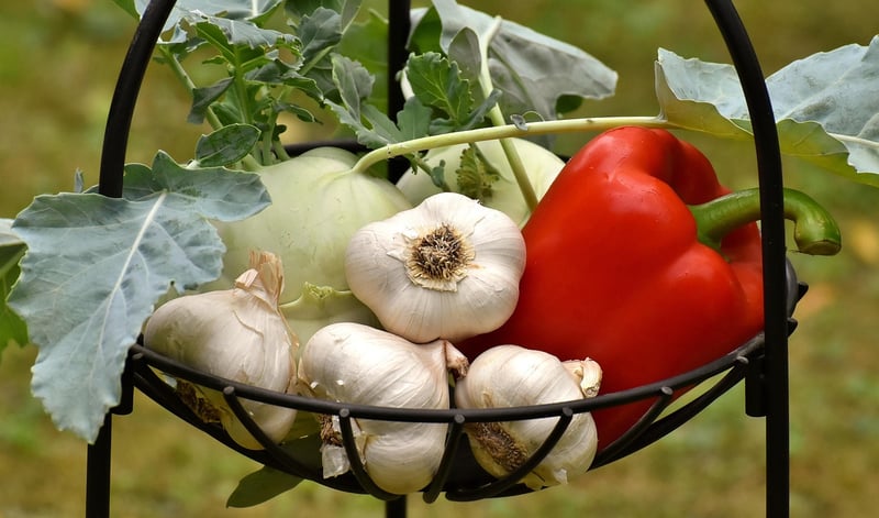 Fresh vegetables at a market